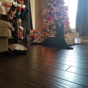 Meet your Posher, Tom